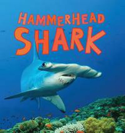 Discover Sharks: Hammerhead Shark by Camilla de la Bedoyere