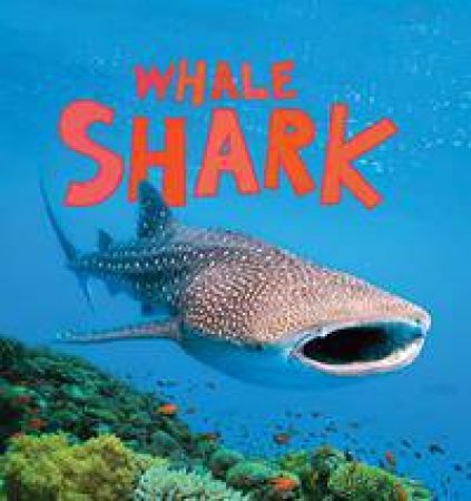 Discover Sharks: Whale Shark by Camilla de la Bedoyere