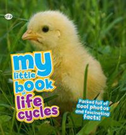 My Little Book Of Lifecycles by Camilla de la Bedoyere