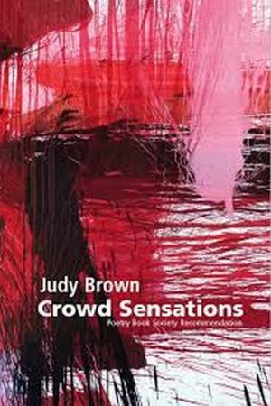 Crowd Sensations: A Novel Out Of Time by Judy Brown