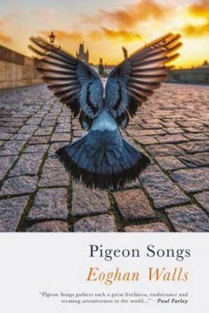 Pigeon Songs by Eoghan Walls