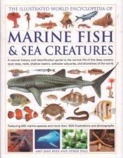 The Illustrated World Encyclopedia Of Marine Fish  Sea Creatures