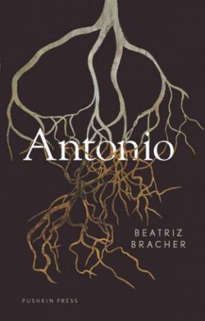 Antonio by Beatriz Bracher & Adam Morris