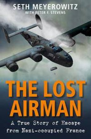 The Lost Airman by Seth Meyerowitz