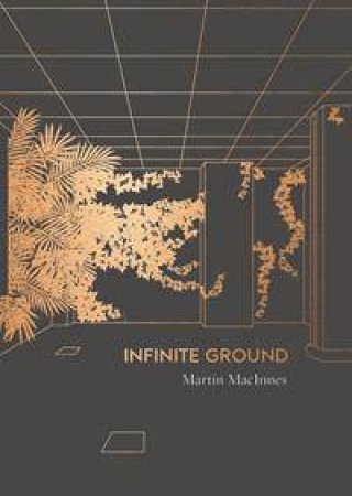 Infinite Ground by Martin MacInnes