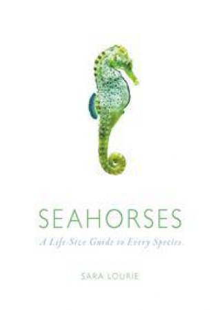 Seahorses by Sara Lourie