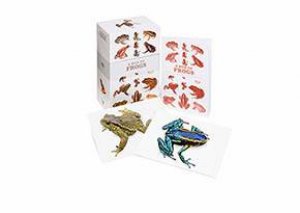 Box Of Frogs: 100 Postcards Of The Most Striking Species by Various