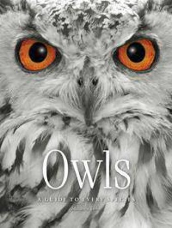 Owls: A Guide To Every Species by Anna Claybourne