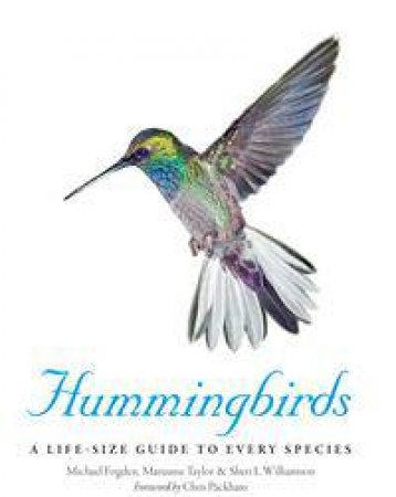 Hummingbirds: A Life Size Guide To Every Species by Will Bishop-Stephens