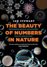 The Beauty Of Numbers In Nature