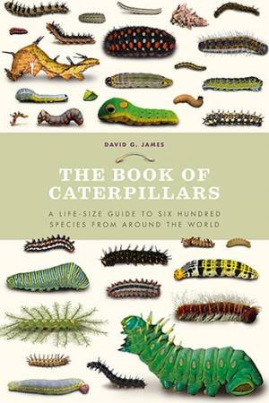 The Book Of Caterpillars by David G. James