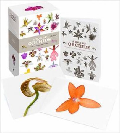 A Box Of Orchids by Various