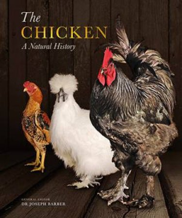 The Chicken: A Natural History by Joseph Barber