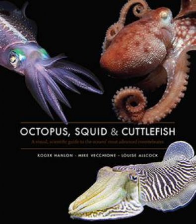 Octopus, Squid & Cuttlefish by Roger Hanlon, Louise Allcock & Mike Vecchione