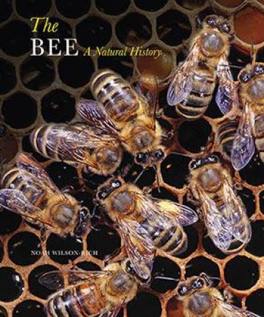 The Bee: A Natural History by Noah Wilson-Rich