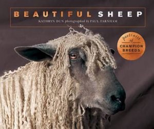 Beautiful Sheep by Kathryn Dun