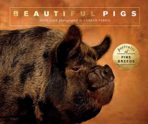 Beautiful Pigs by Andy Case