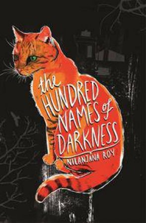 The Hundred Names Of Darkness by Nilanjana Roy