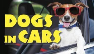 Dogs In Cars by Various