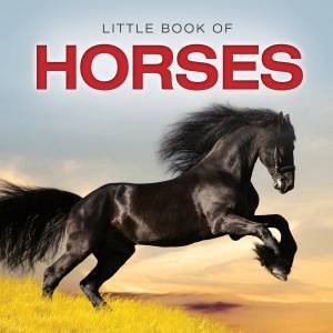 Little Book of Horses by Jon Stroud