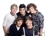 One Direction Five Lives