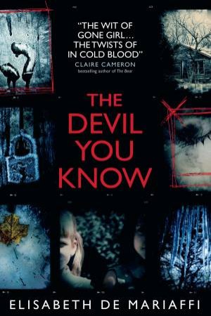 The Devil You Know by Elisabeth De Mariaffi