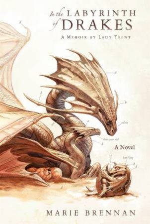 In The Labyrinth Of Drakes by Marie Brennan