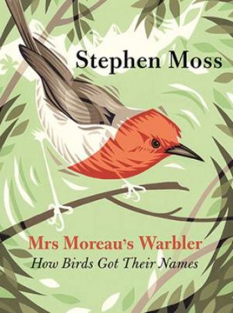 Mrs Moreau's Warbler by Stephen Moss