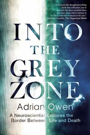 Into The Grey Zone by Adrian Owen