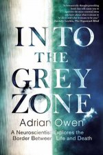 Into The Grey Zone