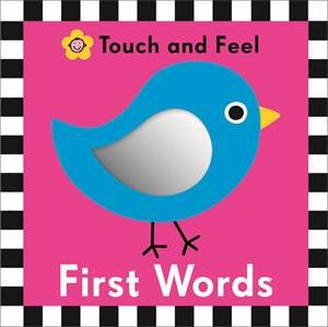 Touch and Feel : First Words by Various