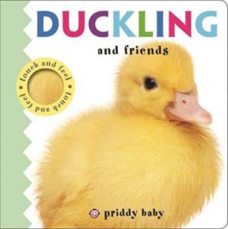 Duckling And Friends by Baby Touch and Feel