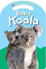 Baby Koala