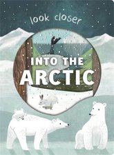 Into The Arctic