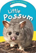 Baby Touch And Feel Little Possum