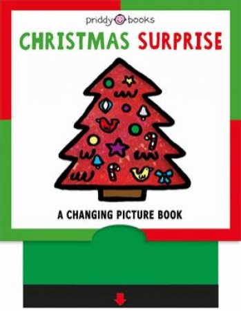 Christmas Surprise by Roger Priddy