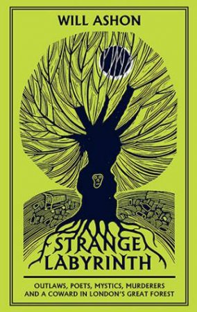 Strange Labyrinth by Will Ashon