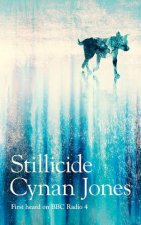 Stillicide