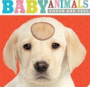 Touch And Feel: Baby Animals by Various