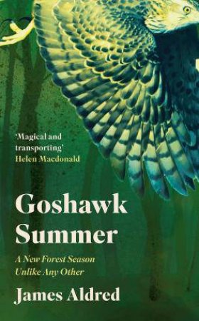 Goshawk Summer by James Aldred