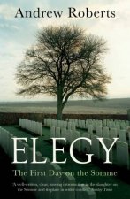 Elegy The First Day On The Somme