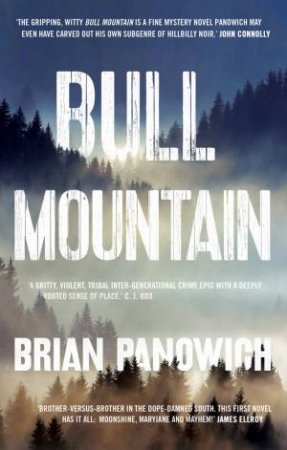 Bull Mountain by Brian Panowich