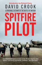 Spitfire Pilot A Personal Account Of The Battle Of Britain