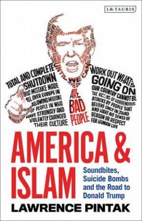 America & Islam by Lawrence Pintak