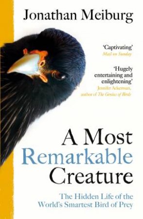 A Most Remarkable Creature by Jonathan Meiburg