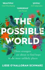 The Possible World