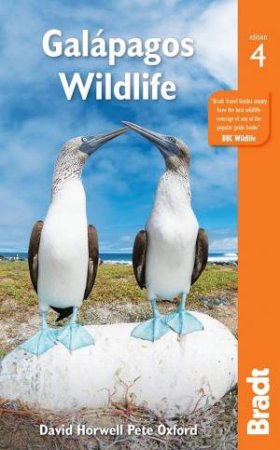 Bradt Travel Guide: Galapagos Wildlife by DAVID HORWELL