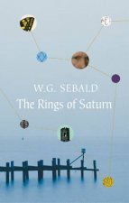 The Rings Of Saturn