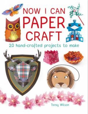 Now I Can Paper Craft: 20 Hand-Crafted Projects to Make by TANSY WILSON