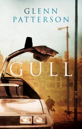 Gull by Glenn Patterson